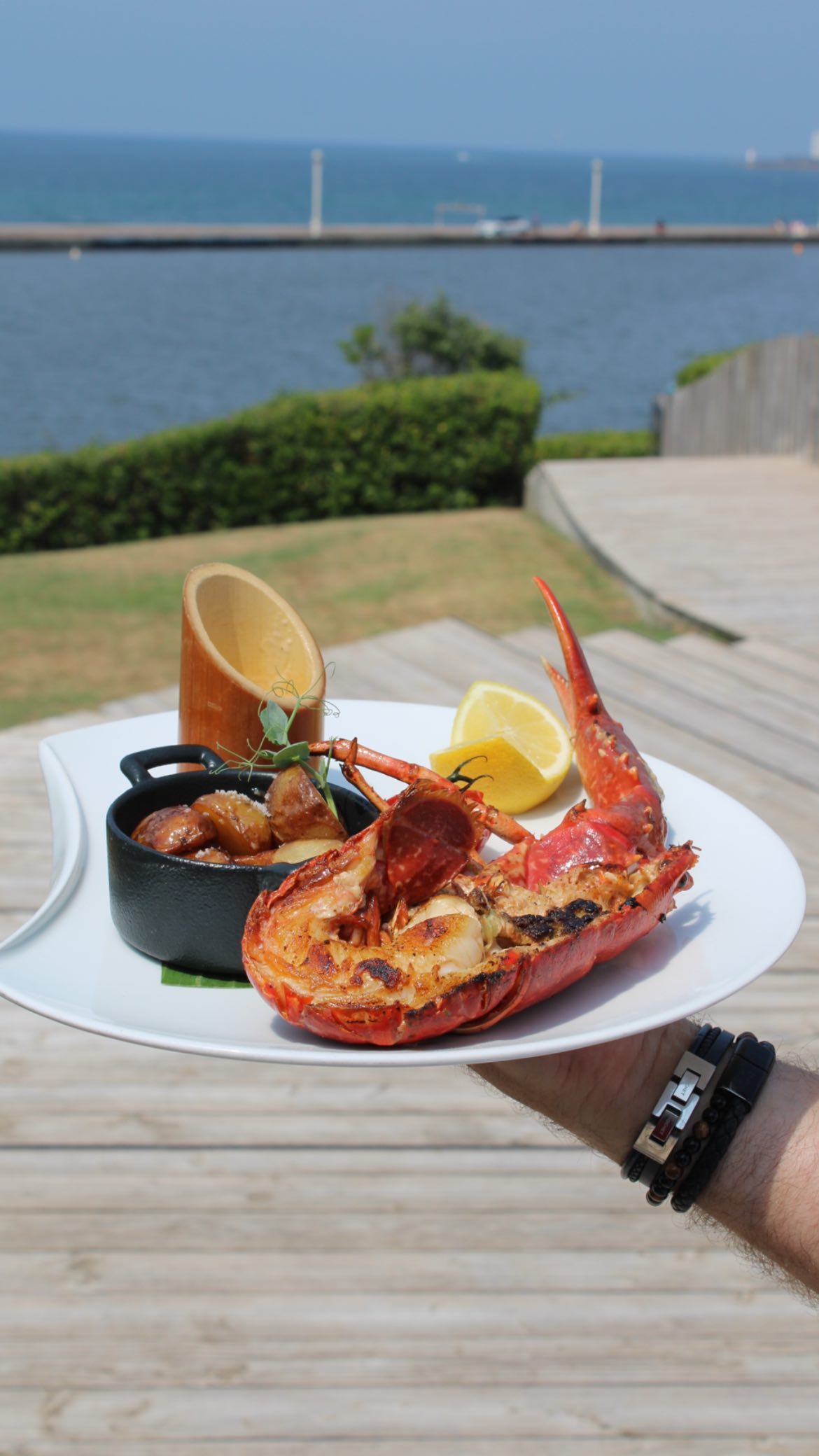 hco restauration produits de la mer